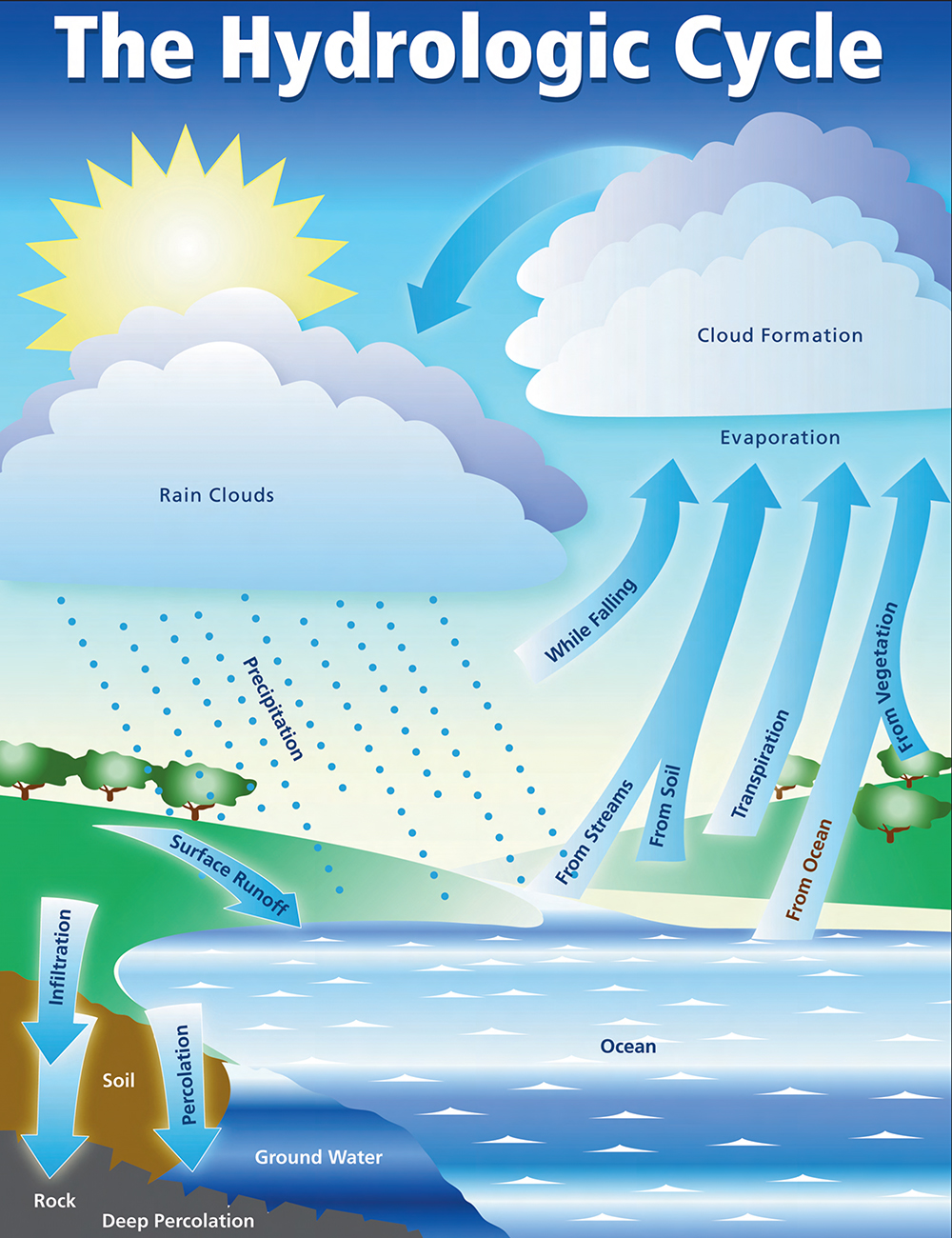 watercycle4.jpg